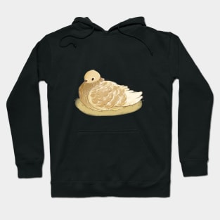 Beautiful Pigeon Hoodie